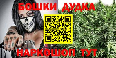 mdpv Ярославль