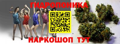 mdpv Ярославль