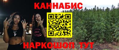 mdpv Ярославль