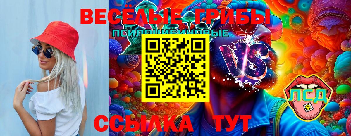 Галлюциногенные грибы мухоморы  купить  сайты  Егорьевск  Вход с VPN 